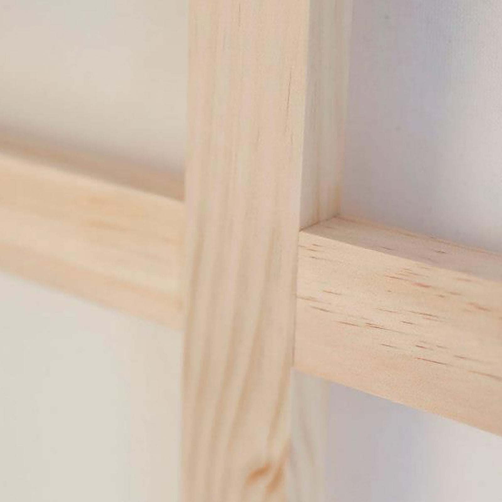 my-canvas-website-new-zealand